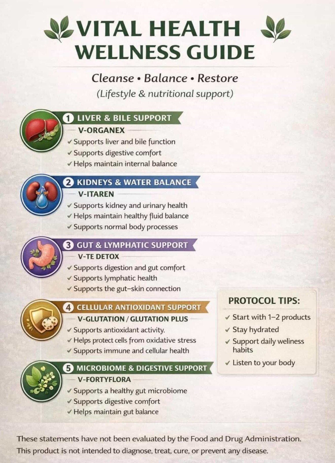 WhatsApp Image 2026-02-02 at 3.33.32 PM (1)